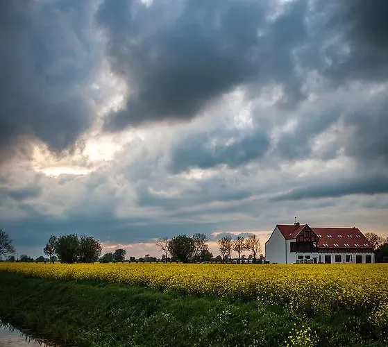 Folwark żuławski *