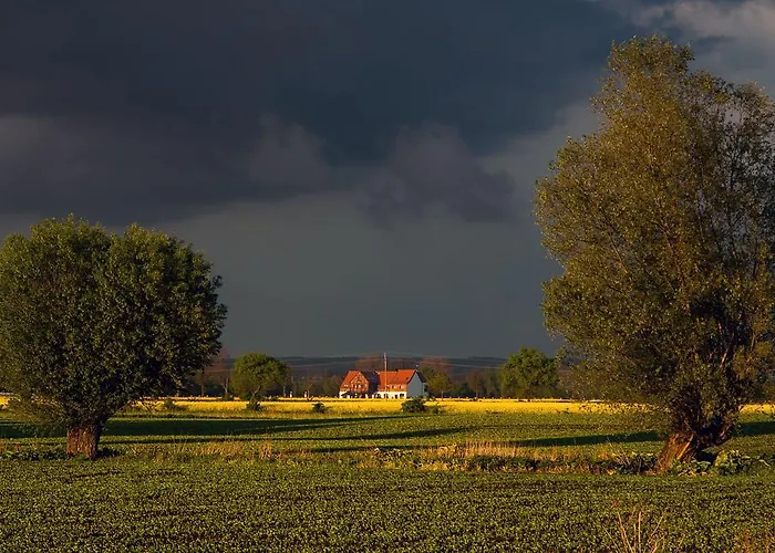 Folwark żuławski Zajazd *
